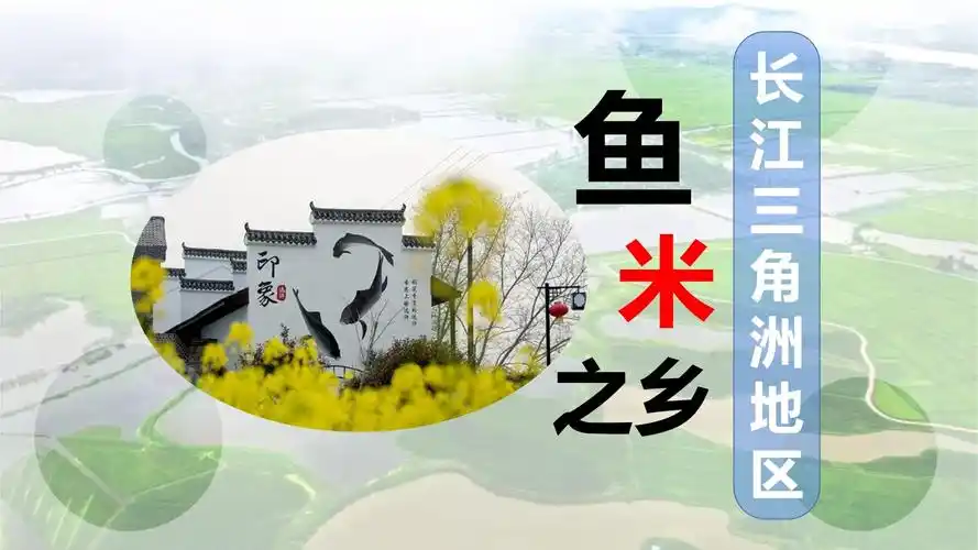 华东地区